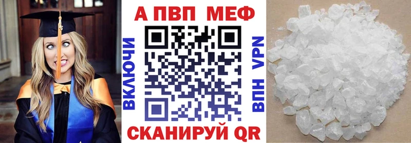 Alfa_PVP СК Находка